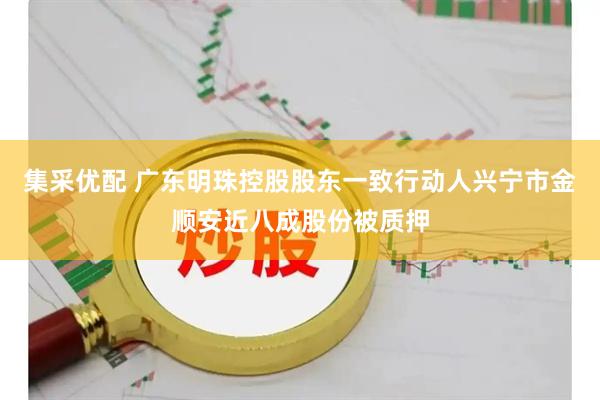 集采优配 广东明珠控股股东一致行动人兴宁市金顺安近八成股份被质押